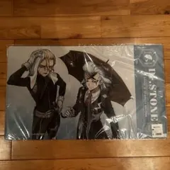 Dr.STONE レイニーデイ ラバーマット ゼノ＆スタンリー