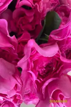 かおりんご様 リクエスト 4点 まとめ商品