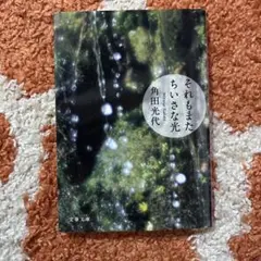 それもまたちいさな光 角田光代