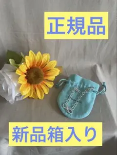 ティファニー国内正規品❗️新品箱入り⭐️オンライン限定インフィニティ ブレスレット