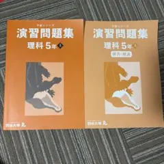 Item thumbnail for item 0c96a422-c4cc-4cf4-925d-46bbf60cbe67