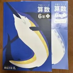 2026年最新】四谷大塚 予習シリーズ 6年上の人気アイテム - メルカリ