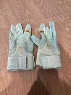 Item thumbnail for item 334e2e48-c510-4783-9ed1-a1e8b91476fb