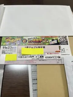 2025年最新】阪神タイガース ファン感謝デーチケットの人気
