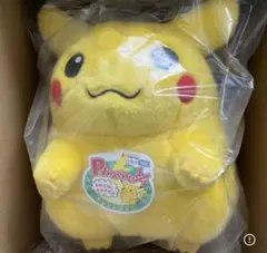 ポケモン30周年記念 おかえり!ピカチュウ1/1