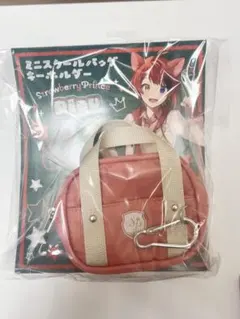 すとぷり 莉犬くん はじまりの物語 ミニスクールバッグキーホルダー STPR