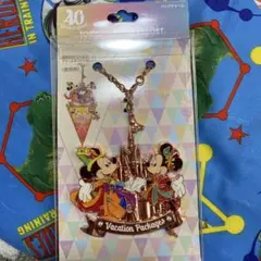 ミッキー・ミニー バケーションパッケージ キーホルダー