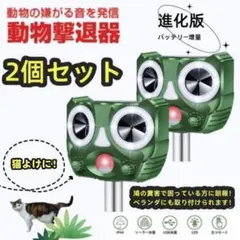 Item thumbnail for item 608ea2e1-0680-42b8-81e7-5a313031ca73