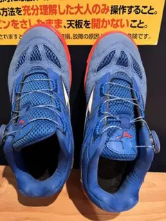 Item thumbnail for item 4371e20d-2cf4-418e-9118-f4ab5491c2ef