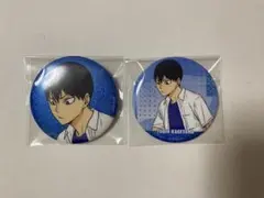 ハイキュー　東武動物公園　缶バッジ　影山飛雄　2個セット