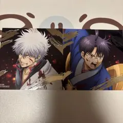 銀魂 スクエアカード 吉原大炎上篇 アニメイトフェア 特典 坂田銀時 志村新八