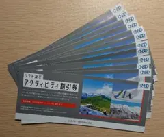 日本駐車場開発 株主優待券 アクティビティ割引券 12枚