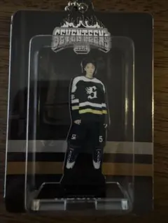 SEVENTEEN HOME アクリルキーリング HOSHI