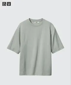 Item thumbnail for item 298b6354-a0c5-4fdb-b78a-f4cb28951c6d