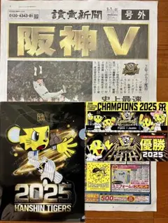 阪神タイガース優勝記念　ジョーシンクリアファイル、ステッカー、号外　5点セット