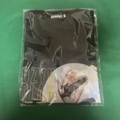 ゴジュウポーラー キャラクターグッズ