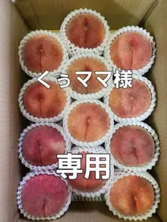 桃【川中島白桃】くぅママ様専用