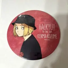 ハイキュー 孤爪研磨 BIG缶バッジ レジャー 東武動物公園 コラボ 描き下ろし