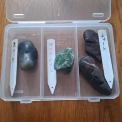 地学標本 63種 鉱物 岩石 化石 セット - メルカリ