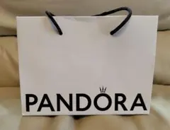 PANDORA ショップ袋 ショッパー 紙袋のサムネイル