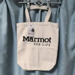 Item thumbnail for item 00123d38-53b6-4b00-b401-9f98ed58275b