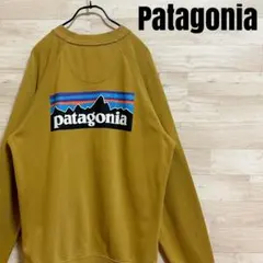 ✨Patagonia パタゴニア P-6 Logo Organic Crew ✨