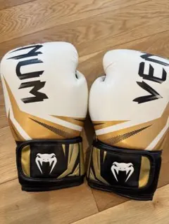 Item thumbnail for item 3fdc3e3b-e73b-4e98-bd13-ffbb81b72f59