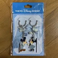 東京ディズニーリゾート ミッキー ミニー キーチェーン ブルー・エバー・アフター