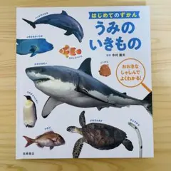 Item thumbnail for item 60a2f317-8ec7-46c7-a5dd-d303820d18ca