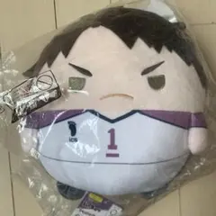 ハイキュー!! ふわコロりんBIG9 Msize9 牛島 若利 ジャージver. ハイキュー!! ふわコロりんBIG9 Msize9 牛島 若利 ジャージver