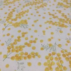 つぶつぶミモザ 生成り オックス生地 幅110×50cm