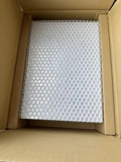 嵐 ファンクラブ限定5大ドーム写真集 正誤表付 新品未開封