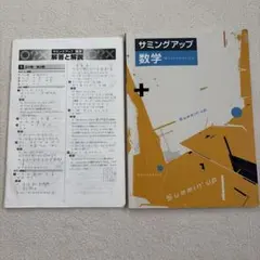 【新品未使用 高校受験対策セット】 サミングアップ 改定最新版 Amazon.co.jp: サミングアップ 中3 社会 高校入試対策 (スタディ倶楽部