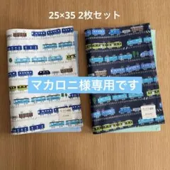 専用です！25×35 電車のランチョンマット　2枚セット２点