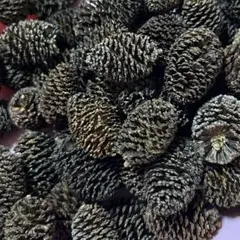 Item thumbnail for item 0d4d6ca8-4fe1-4528-84f3-83cf9cb90fd6