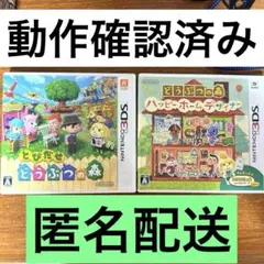 とびだせ どうぶつの森 & ハッピー ホーム デザイナー 2本セット