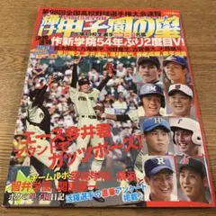 激レア】当時のJKによる新聞記事つき2006甲子園ハンカチ・マー輝け