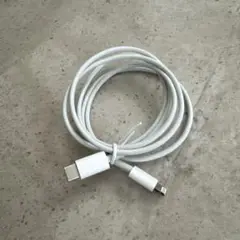 Apple純正 Lightning to type-Cケーブル　1m