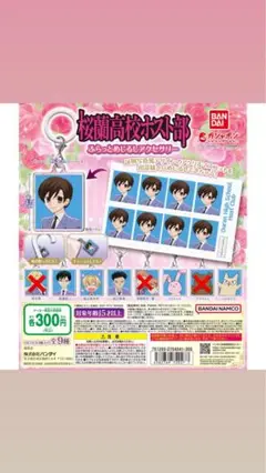 桜蘭高校ホスト部 ふらっとめじるしアクセサリー 全9種類 コンプ ガチャ ⑪ Amazon | 桜蘭高校ホスト部 ふらっとめじるしアクセサリー [全9