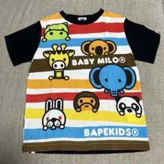 Item thumbnail for item d8b65637-1d9f-4c9e-9561-af119a548e31