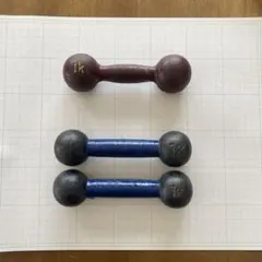鉄アレイ　ダンベル　1kg × 3個 筋トレのサムネイル