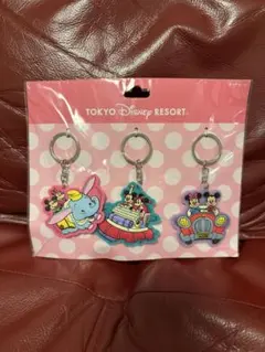 【最終値下げ】東京ディズニーリゾート ラバーキーホルダー 3個セット