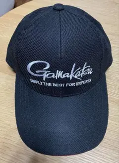 Item thumbnail for item 8d2325d0-b456-471f-bc4f-5c9340fb5119