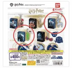 ハリーポッター　めじるしアクセサリー＋　パトローナス＆闇の印