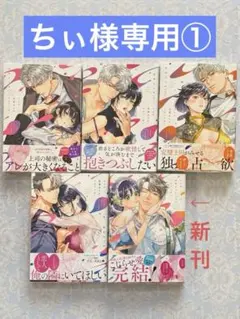 【ちぃ様専用①】「ただの恋愛なんかできっこない 」1~4巻