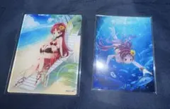 遊戯王】野坂ミホ＆真崎杏子 東映版 トレーディングコレクション 水着