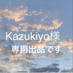 Kazukiyo様専用！ Classical Elf 1点
