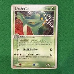 ジュカイン PROMO PCG-Pプロモカード 063/PCG-P - メルカリ