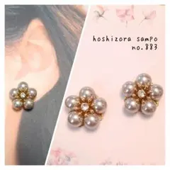 ✴no.883✴　ハンドメイドピアス・イヤリング