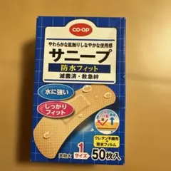 Item thumbnail for item 27711261-a0aa-4e84-9f64-299dc297f8b0